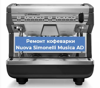 Чистка кофемашины Nuova Simonelli Musica AD от накипи в Новосибирске